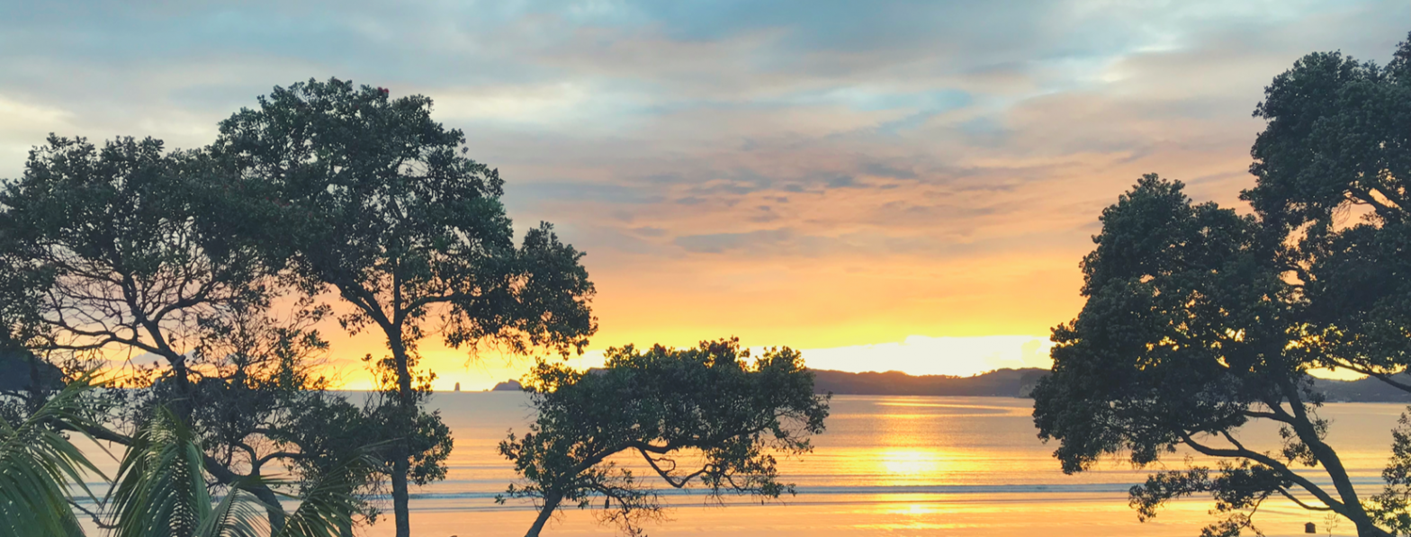 What to Know Before You Visit the Coromandel Peninsula