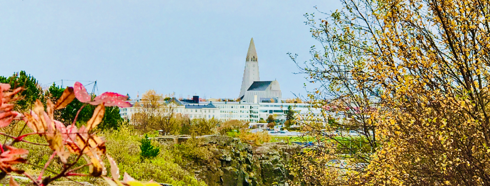 How to Spend 1 Day in Reykjavik