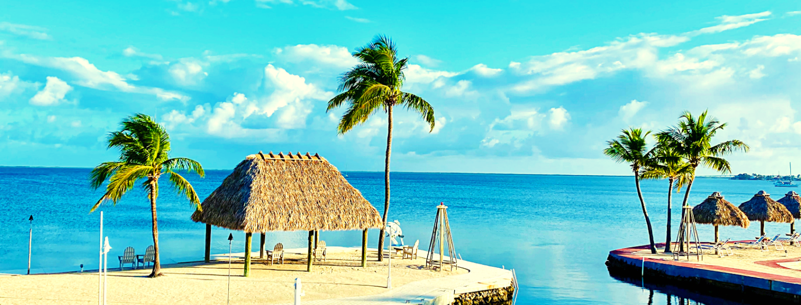 All You Need to Know about the Key Largo Bay Marriott Beach Resort
