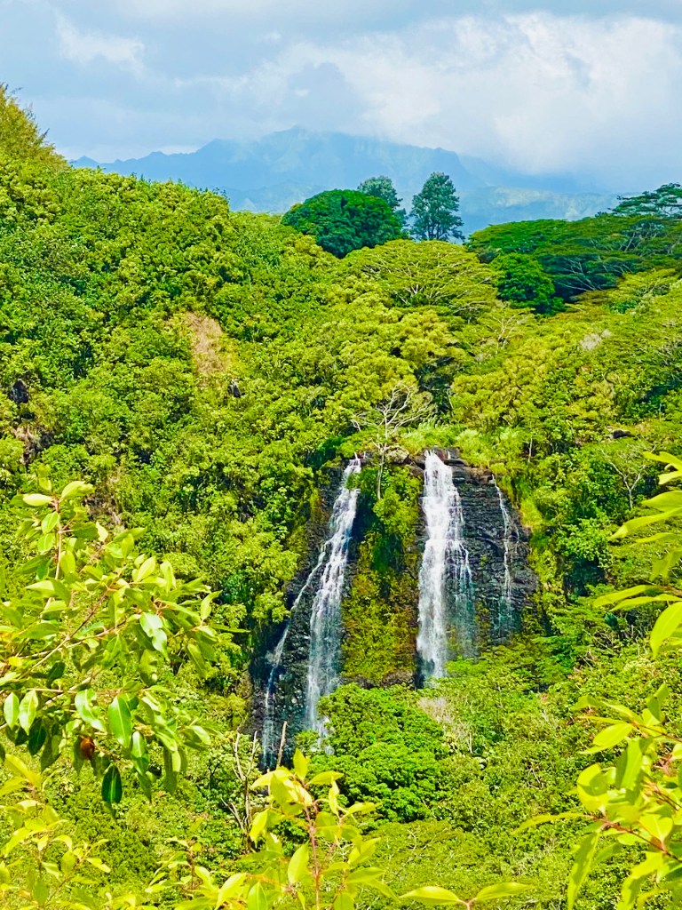 Your Ultimate Guide to Kaua'i's Most Accessible Waterfalls - Quick Whit ...