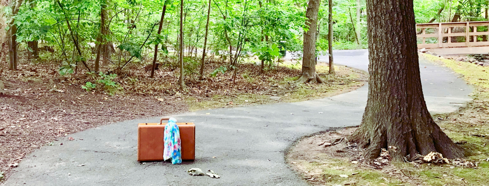 The Ultimate List of Pros and Cons of Traveling with Checked Luggage