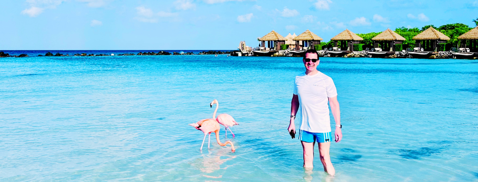 Everything You Need to Know about Visiting Aruba’s Flamingo Beach