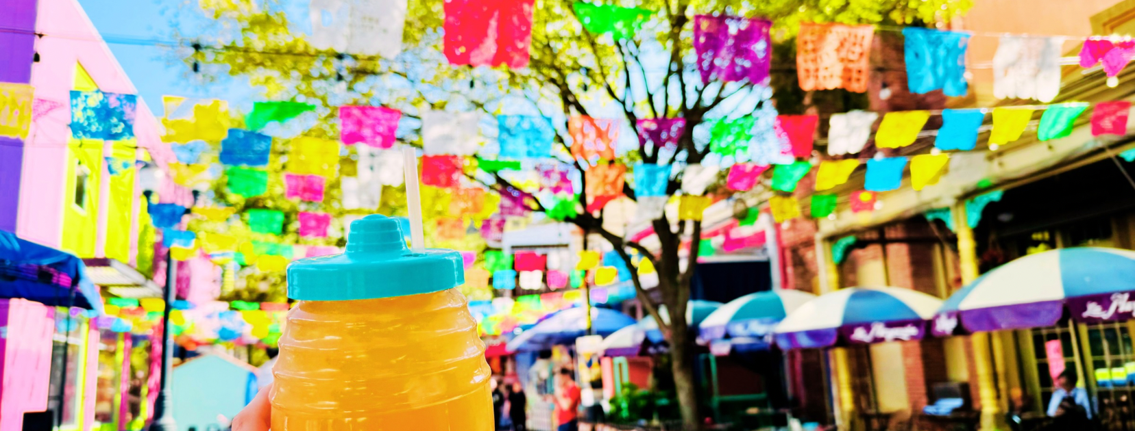 The Ultimate Guide to Solo Travel in San Antonio, Texas